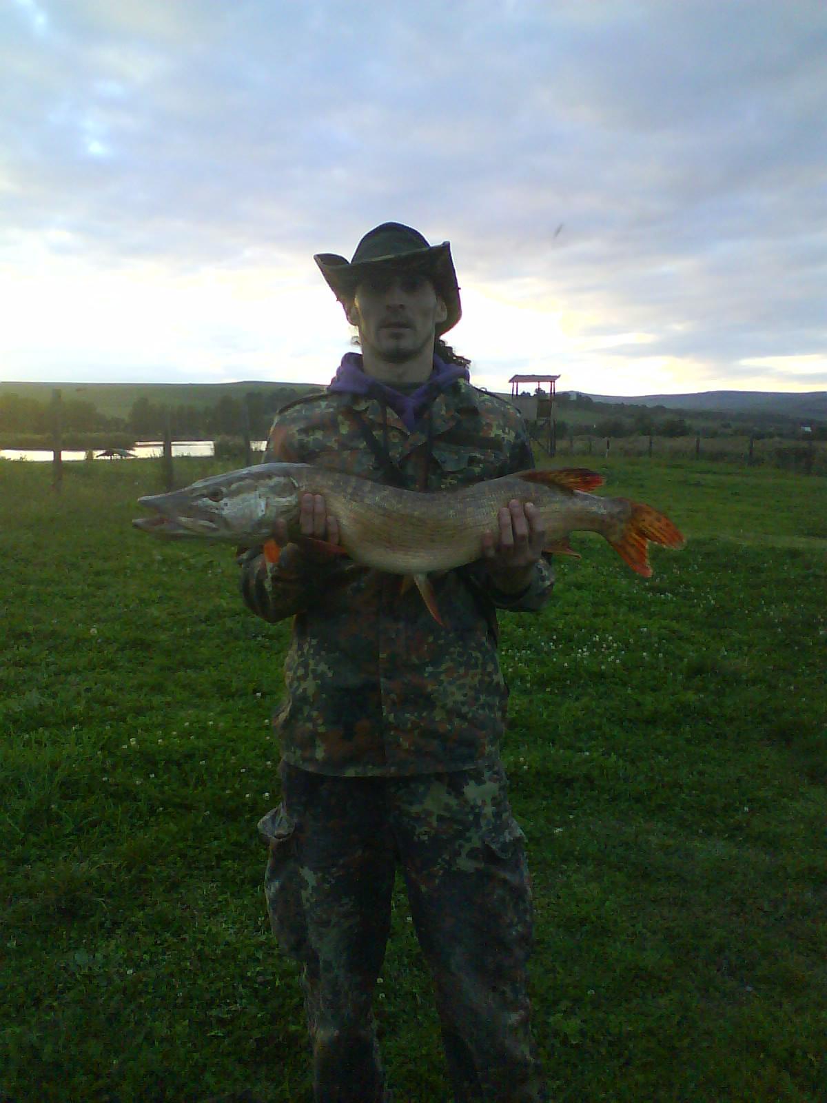 la rapitor - dsc00042.jpg